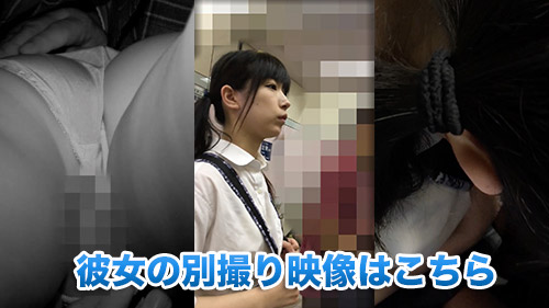 Molester recording diary 28