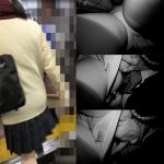 Molester recording diary 25