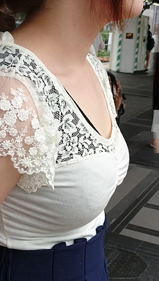 Molester recording diary 17