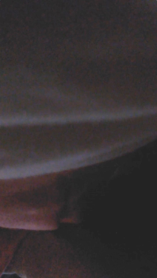 Molester recording diary 19