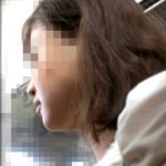 Molester recording diary 19