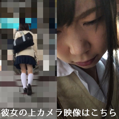 Molester recording diary 41