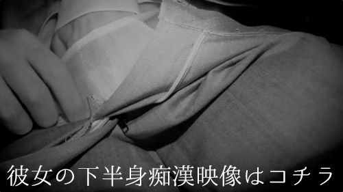 Molester recording diary 46