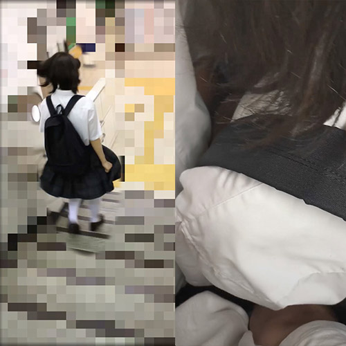 Molester recording diary 48