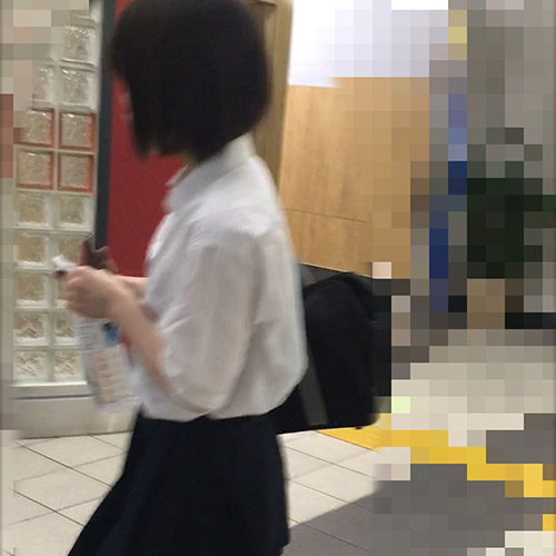 Molester recording diary 86